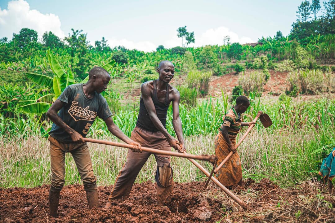 Agriculture and Rural Development